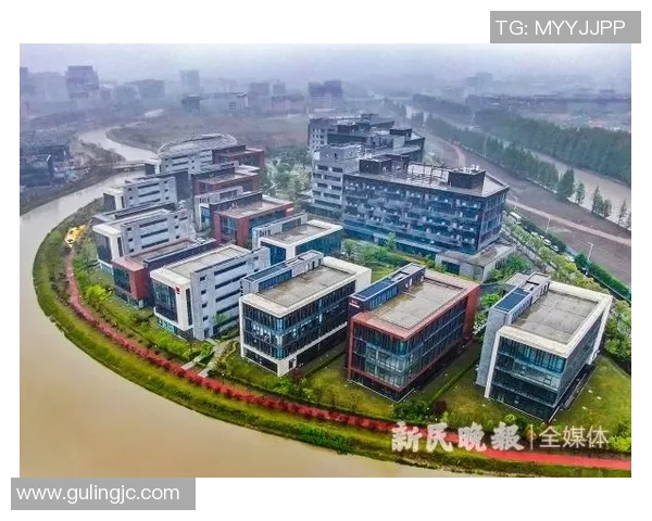 上海羽毛球队的奋斗与荣耀：城市联赛背后的故事与突破历程