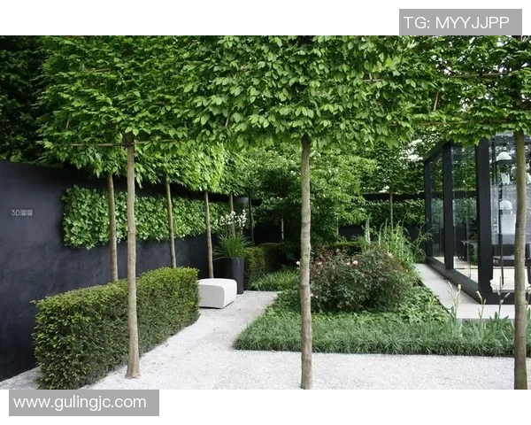 足球明星家庭花园设计灵感探索打造绿意盎然的梦想空间